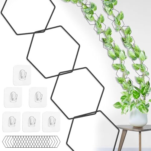 traliccio a catena per piante rampicanti, supporto da parete per piante rampicanti, supporto per piante rampicanti, piante rampicanti, plantari da interni, per piante Pothos, Monstera, edera