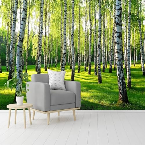 Custom Size Wall Murals,Sunlit Birch Forest Self-Adhesive Removable Wall Covering Fabric, Large Photo Wallpaper for Living Room Bedroom Kitchen Office Kids.