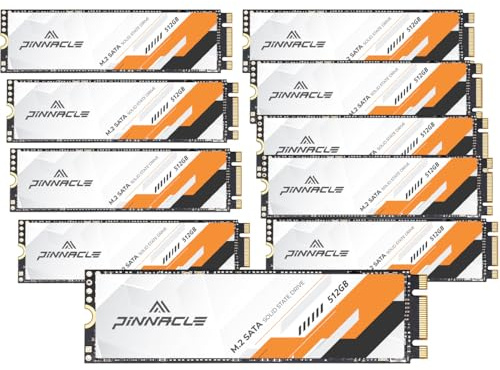 Timetec Lot de 10 disques 512GB SSD 3D NAND SATA III 6 Go/s M.2 2280 NGFF Vitesse de Lecture jusqu'à 550 Mo/s SLC Cache Performance Boost Disque SSD Interne pour PC