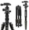 Treppiede Fotocamera, ZOMEI Q666 Monopiede Treppiede Leggero di Alluminio, con 360° Testa rotante e Borsa da Trasporto, per Fotocamera Digitale Reflex e DV, 155 cm