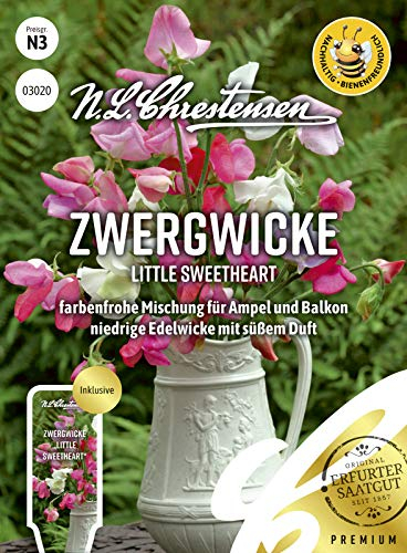 N.L.Chrestensen Zwergwicke Little Sweetheart LATHYRUS ODORATUS