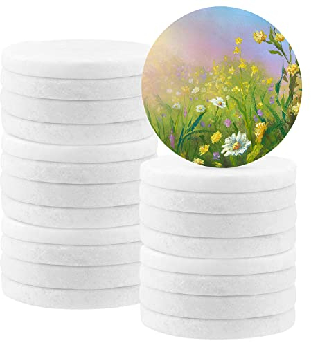 ZOENHOU 20 PCS 2.5 Inch White Round Painting Pebbles, Large Smooth Pebbles for Painting, Flat Stones for Painting Mandala and Kindness Rocks, Arts and Crafts