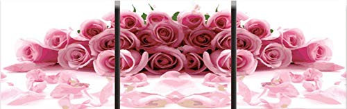 WOWDECOR Lot de 3 peintures par numéros à faire soi-même - 3 images - Rose - Pétale d'amour romantique - 40 x 40 cm x 3 - Triptyque XXL - Sans cadre