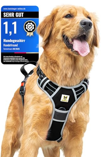 Hundvän hundsele för medelstora hundar – Reflekterande, vadderad och justerbar – sele med handtag och 3 säkerhetslås – säker promenad och körning – (M, svart)