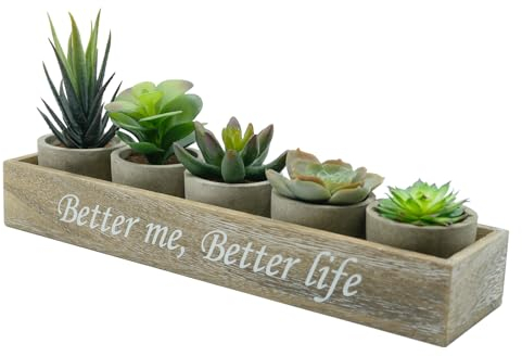 YVONNEYI 5 Pièces Petite Plantes Artificielles Interieur avec Boîte de Rangement en Bois, Succulentes Plantes Grasses pour Decoration Chambre, Fausse Plante à Coucher Salle de Bain Office Decor