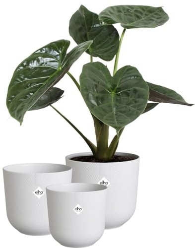 Elho Jazz Round Pot de Fleurs - Pot de Plantes d'Intérieur - Plastique 100% Recyclé - Structure Unique - Lot de 3 - Ø 14, 16, 19 cm - Blanc/Blanc Soie
