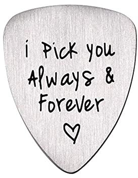 1 x Gitarrenplektrum aus Stahl, Metall, Plektrum und Gitarrenzubehör