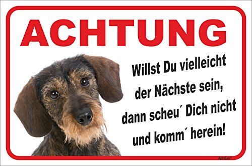 AdriLeo Schild - Vorsicht Rauhaardackel - Der Nächste - (40x60cm) / Achtung Hund Wachhund Dackel Teckel Dachshund robust langlebig UV-beständig wetterfestes Warnschild