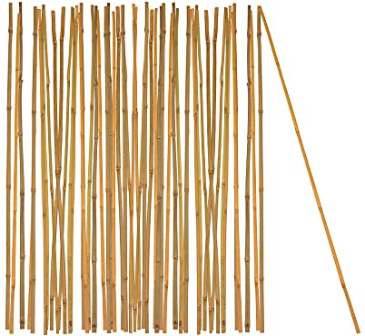 BigDean 50x Pflanzstab Bambusstab 75 cm x 6-8 mm Bambus Rankhilfe Pflanzstab Tonkinstab 100% Naturprodukt Pflanzstäbe Bambusstäbe Bambusstangen