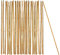 BigDean 50x Pflanzstab Bambusstab 75 cm x 6-8 mm Bambus Rankhilfe Pflanzstab Tonkinstab 100% Naturprodukt Pflanzstäbe Bambusstäbe Bambusstangen