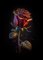 SHUYINGHENGXIE Schwarz Gold Blume Rose Leinwand Malerei Poster und Drucke Moderne Wandkunst Bild für Wohnzimmer Home Decoration Kein Rahmen-B_50x70cm