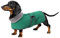 Geyecete -Gemütlich Polarfleece Winter hundemantel fur Dackel,Miniatur Dackel Fleece hundepullover,Hoher Kragen warmes Hundeveste mit Geschirr öffnung,Einstellbar kleine Hundejacke-Grün-S