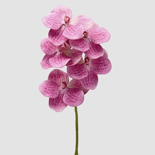 EDG Enzo De Gasperi Orchidea Vanda Ramo H 65 Cm Pianta Artificiale Fuchsia