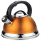 Wasserkessel aus Edelstahl (orange)