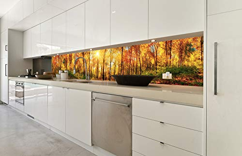 Dimex Küchenrückwand Folie selbstklebend SONNIGER Wald | Klebefolie - Dekofolie - Spritzschutz für Küche | Made in EU - 350 cm x 60 cm