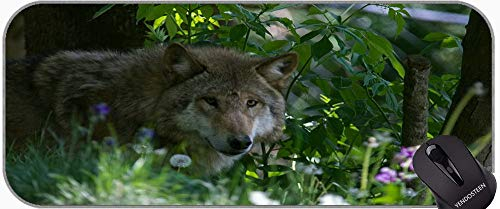 Desk Pad Mat Gaming Mauspads, Animal Wolf Girls Große Gaming Mat