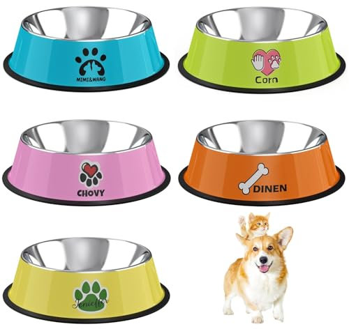 Gamelle pour chien en acier inoxydable personnalisée avec nom, gamelle pour animal de compagnie, chiot et chat, gamelle antidérapante et durable pour animaux de compagnie (style 2)