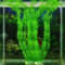Ogquaton Aquarienpflanzen Wasser Faux Green Grass Ornament Pflanze Dekoration Kunststoff-Wasserpflanze für Aquarium Langlebig und Nützlich
