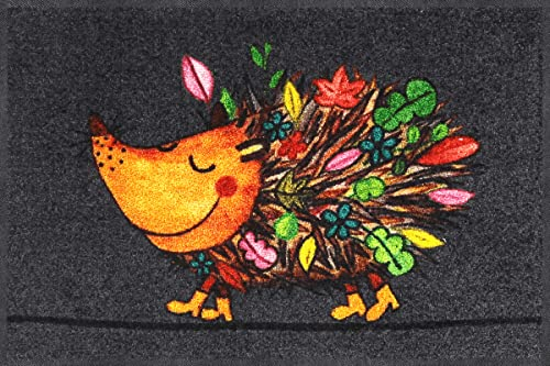 Salonloewe Funky Hedgy Fußmatte 50 x 75 cm Sauberlaufmatte Eingangs-Matte Igel bunt witzig waschbar Fussabtreter Herbst-Farben
