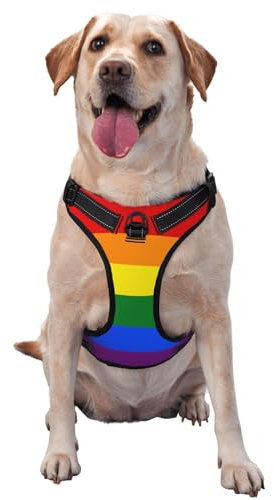 Atmungsaktives und verstellbares Hundegeschirr mit Leine, buntes einfaches Regenbogen-Hundegeschirr für große, mittelgroße und kleine Hunde