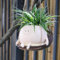 Umikk Hanging Flower Pots with Swing Face, Rocking Chair Plant Pot, Pot Head Planter, Cute Face Succulent Pot