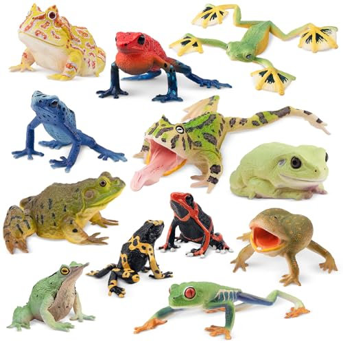 toymany 12PCS Frog Figures, Plastic Rainforest Woodland Animals Toy Frogs Set with Realistic Poison Dart Frog, Garden Flowerpot Plants Decor, Cake Topper Party Favor halloween Christmas Birthday Gift