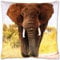 Bestlivings 2er Pack Kissenbezug, Beidseitiger Fotodruck Motiv in 40x40cm, Kissenhülle Bezug mit Reißverschluss (Design: Elefant)