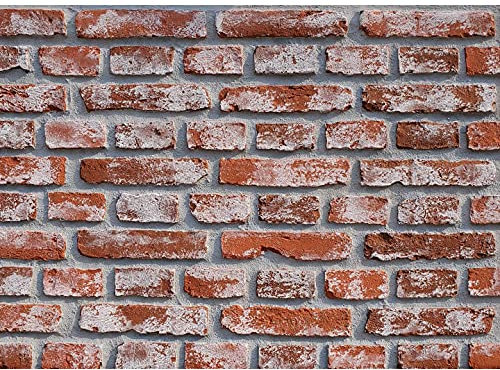 Faux Brick Panels 3D Wall Paneling for Interior Exterior DIY Artificial Wall (32 Square Feet/Box, Red with Wash White)