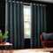 Paoletti Galaxy Chenille Eyelet Curtains - 2 Panels - Width x Drop - 169 x 137cm (66 x 54) - Emerald