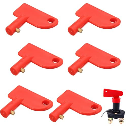 6 Stück Batteriehauptschalter Ersatzschlüssel, Batterietrennschalter Schlüssel für Batterietrenn, Batterieschalter Universal Schlüssel, Hauptschalter Natoknochen Schlüssel ABS Kunststoff