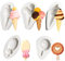 Rolin Roly 5Piezas Pastel de Fondant Molde de Silicona Cono de Helado Fondant Cake Silicone Mold Herramientas para Hacer Bricolaje para Decorar Tartas