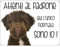 CARTELLO CANE - LAGOTTO Attenti al padrone qui l'unico normale sono io - Con Adesivo in Vinile e Pannello in Forex (Pannello 5mm Stampato)