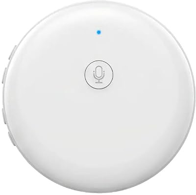 iPalamila Smart Wearable Translator,Capable of translating 165 Languages,Foreign Language Practice Partne