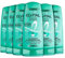 L'Oréal Paris Elvital Pflegespülung Tonerde Absolue, 6er Pack (6 x 250 ml)