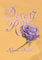 Desert Rose (English Edition)
