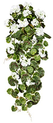 kunstpflanzen-discount.com Künstliche Hängegeranien 80cm lang mit weißen Blüten UV-Beständig - Pelargonien Geranien Blumen hängend zum Stecken