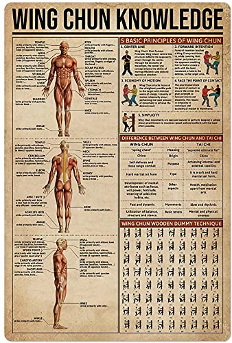 JIUFOTK Kung Fu Wissen, Metall-Blechschild, Wing Chun Anatomie, Infografik-Poster, Kampfsport, Fitnessstudio, Club, Zuhause, Schlafzimmer, Schule, Bildung, Wanddekoration, Plakette, 20,3 x 30,5 cm