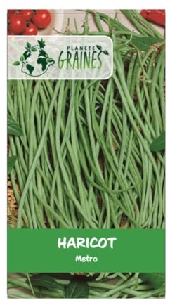 24 graines haricot long yard -metro - Yardlong beans - Haricots kilomètre ou haricots mètres