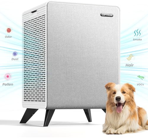 LUFTRUM Purificatori d'aria per la casa di grandi stanze fino a 2250 m² - Rimuove il 99% delle allergie al fumo odore di peli di animali domestici - Doppio filtro a 3 stadi di filtro lavabile e con