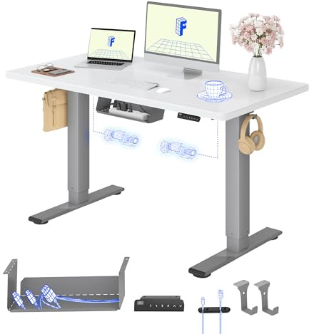 FLEXISPOT Höhenverstellbarer Schreibtisch elektrisch, Doppelmotor 120x60 cm | 25 mm einteilige Tischplatte, Kabelmanagement&Memory-Funktion, ergonomischer Büro-&Computertisch, elektrisch höhenverstellbar