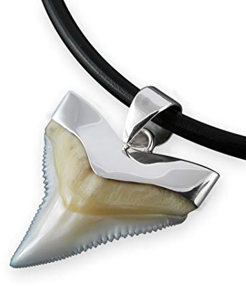 Fly Style Hai Zahn Ketten Anhänger mit 925 Silber Fassung - Haifischzahn Kette, Größe:21 mm