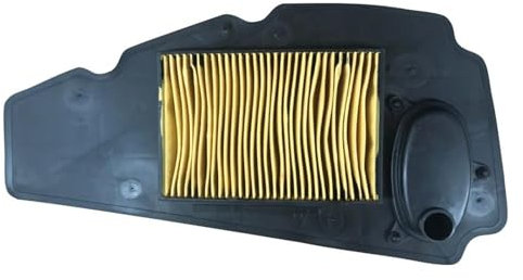 GQUIKGW Accessori Filtro Filtro Aria Moto per Honda NSS250 Forza 250 X Ex 2005 2006 2007