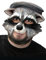 Maskworld Tiermaske aus Latex - Partymaske witziger Waschbär - ideal für Halloween, Karneval & Motto-Party
