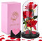 JOTOL Rosa Eterna,La Bella e La Bestia Rose Incantate,Elegante Cupola di Vetro con Base Pino Luci LED,Beauty And Beast Regali Magici Decorazioni per San Valentino Anniversario di Matrimonio Vacanza