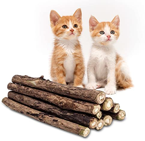 CZ Store Matatabi-Sticks | 10 STK Wiederverwendbares Kauspielzeug für Katzen, fördert die Mundhygiene & frischen Atem - Minziger Geschmack, natürliches Bio-Holz