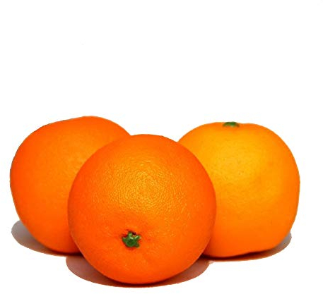 Lyanther 3 künstliche Orangen Dekoobst