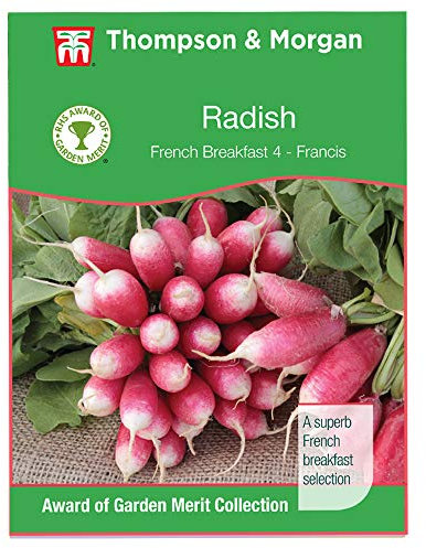 Radish 'French Breakfast 3' By Thompson and Morgan