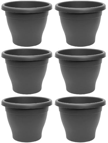 Tradineur - Pack de 6 Macetas de plástico Redondas para Plantas y Flores Mediterránea con Orificios Inferiores. Recipiente, macetero Exterior e Interior del hogar - Color Gris - 30 cm