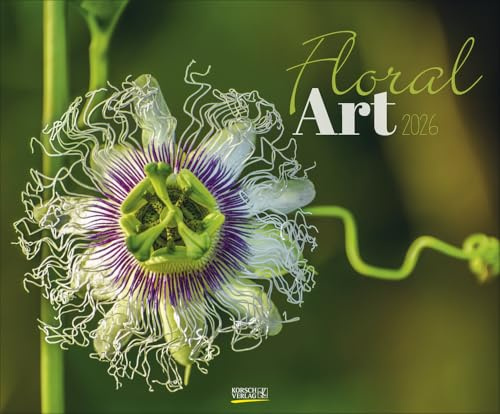 Floral Art - Kalender 2026 - Art-Format - Korsch-Verlag - Fotokalender mit großformatigen Blumenmakro-Aufnahmen - 55 cm x 45,5 cm