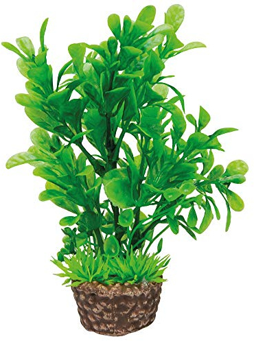 Hobby Aquaristik Kunstpflanze Flora Stone 3 I Täuschend echt aussehend I 4 x 13 cm